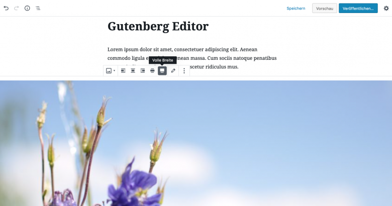 Gutenberg Editor mit Ausrichtung Full und Wide